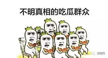 三观颠覆吃瓜群众怎么办,吃瓜群众如何应对惊世骇俗事件