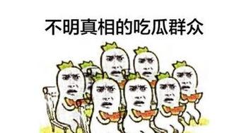 吃瓜群众吃蓝瓜,揭秘吃瓜群众的新宠