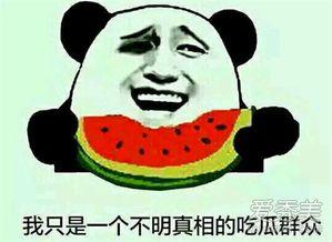 勿扰吃瓜群众什么意思呀,网络热语背后的社会现象