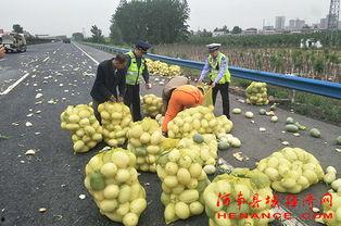 红豆吃瓜群众,揭秘网络红人的瓜田奇遇