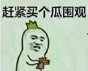 吃瓜群众除了吃喝拉撒,揭秘日常生活的趣味与智慧
