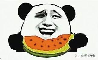 吃瓜群众的瓜没有了,揭秘吃瓜群众瓜源断绝之谜