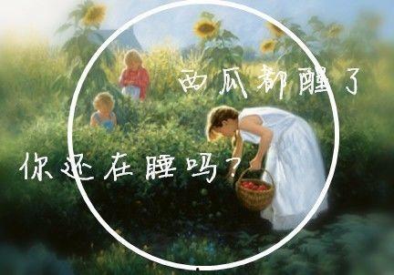 吃瓜群众上线吧合集,揭秘娱乐圈幕后故事
