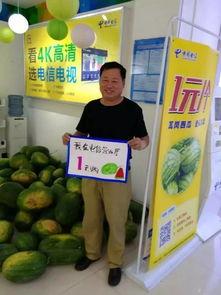 驻马店吃瓜群众事件,网络舆论的狂欢与反思