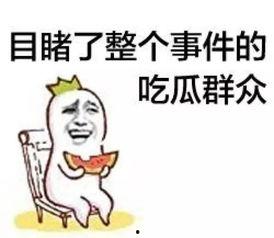 51cg吃瓜群众,揭秘吃瓜群众的网络狂欢与幕后真相