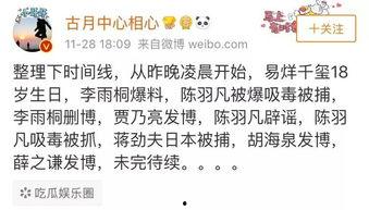 吃瓜群众热评文案怎么写,揭秘热门事件背后的真相与观点