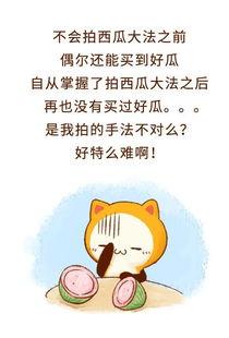 吃瓜群众的真相就是流量,流量背后的真相与影响力