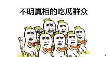 吃瓜群众称号后面是什么,揭秘“吃瓜群众”背后的故事与传奇