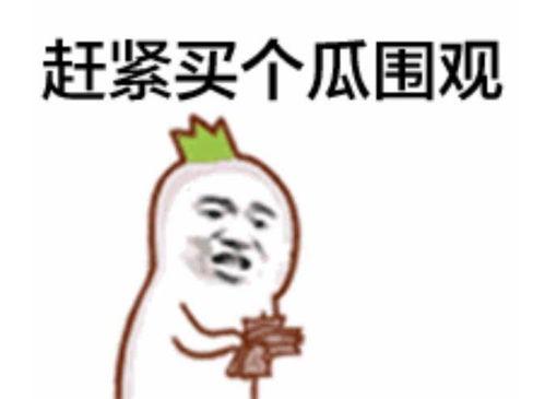 群众寻味吃瓜视频,揭秘群众热爱的美食瞬间