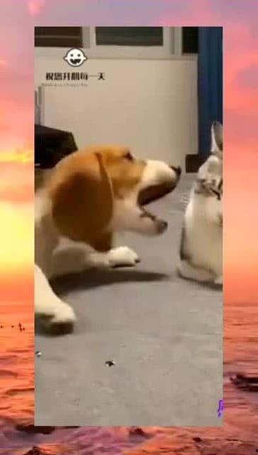 旁边是吃瓜群众怎么说话,吃瓜群众的热议瞬间