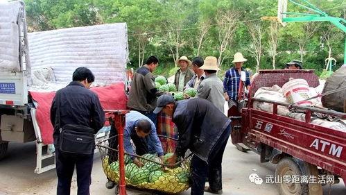 港村吃瓜群众事件真相,揭秘背后真相与争议