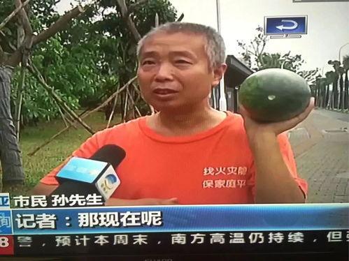 庐阳吃瓜群众事件最新,一场网络舆论的风暴与反思