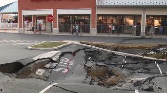 吃瓜群众交流中心,网络舆论场中的“瓜田”盛景