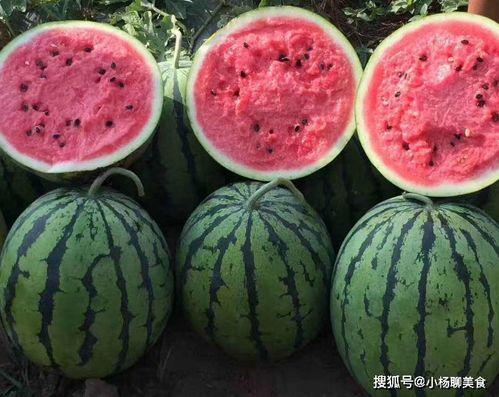 吃瓜群众当演员好吗知乎,揭秘娱乐圈的“素人”逆袭之路