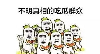 吃瓜群众小伙伴小说,揭秘娱乐圈背后的秘密