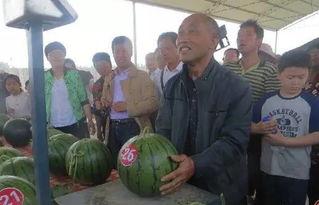 不锈钢吃瓜群众,吃瓜群众的时尚新宠