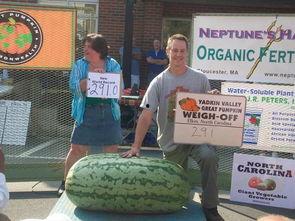 怎么称赞吃瓜群众的人呢,如何巧妙赞美热衷于“吃瓜”的观众