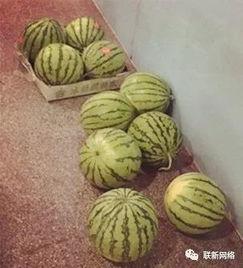 第一波吃瓜群众是谁,第一波吃瓜群众的神秘面纱